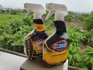 Clorox: Urin Remover