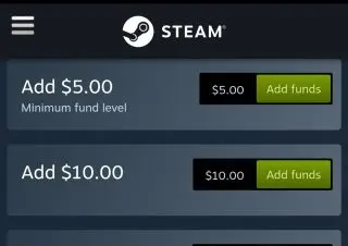 Steam Wallet  allowed you to enter your own amount