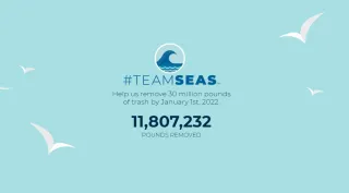 Why is #TeamSeas on so many YouTube videos?