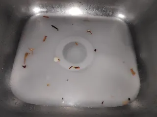 Fixing a clogged sink