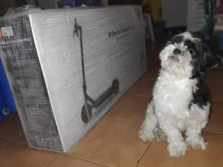Mi Electric Scooter Pro 2: Unboxing and initial setup