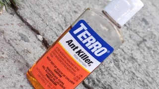 Terro Ant Killer: Review