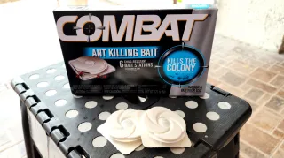 Does Combat Ant Killing Bait work?